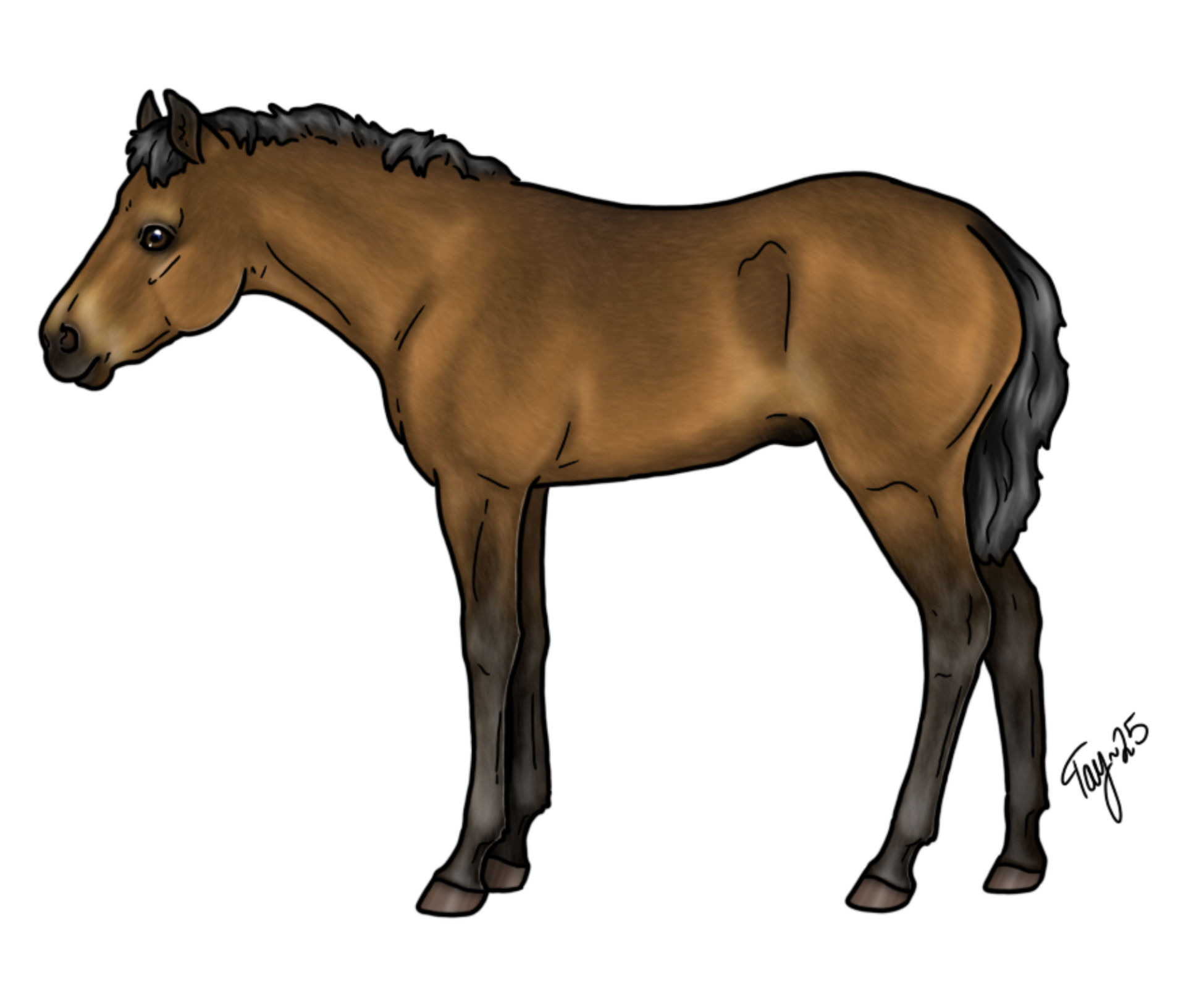 *Tuomaroithan varsakuvan tästä